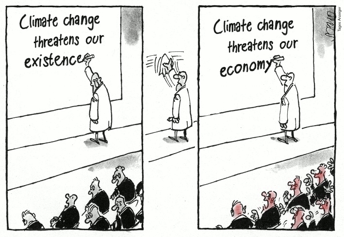 Climate Change Economics